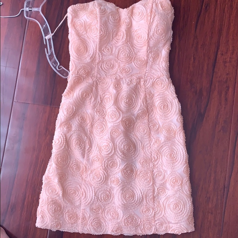 Light blush rose detail tulle tube dress